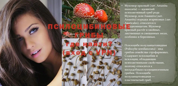 spice Бронницы